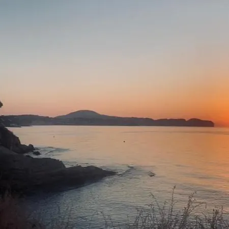 Beachfront Magic Calp